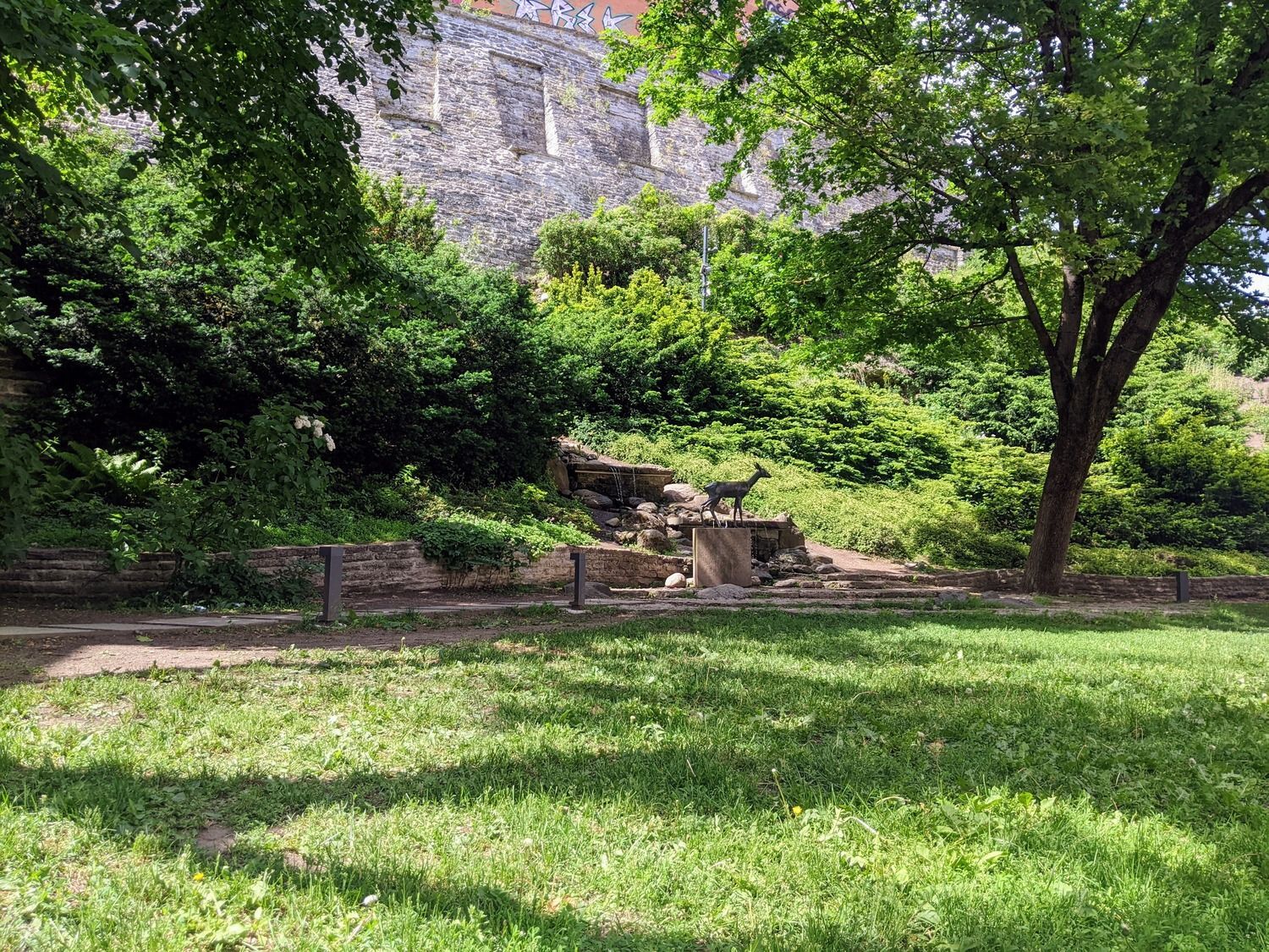 A picturesque scene features a deer standing in a lush green forest, surrounded by trees and foliage, creating a serene natural atmosphere.