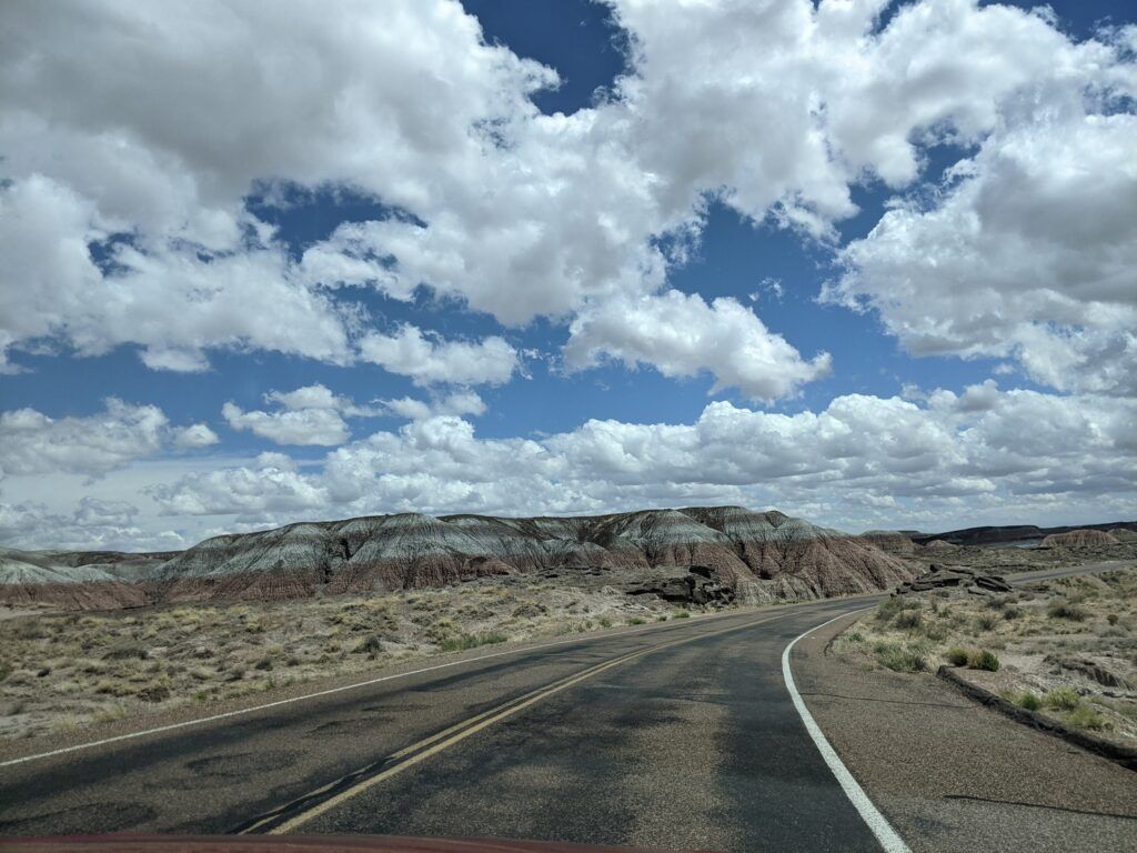 A rock-strewn landscape with large petrified logs scattered across a desert terrain, typical of a national forest known for its preserved fossils.