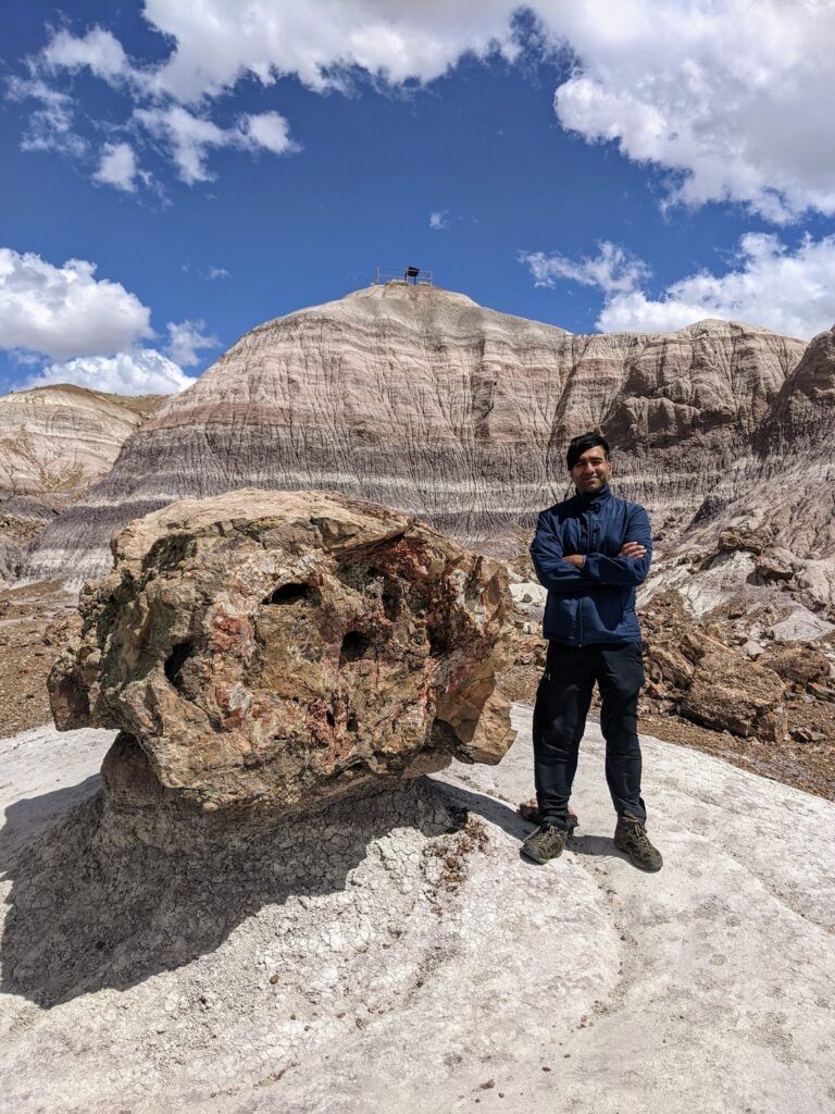 Petrified National Forest