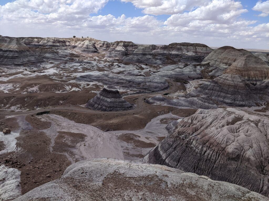 A rock-strewn landscape with vibrant petrified logs scattered across a desert terrain, under a clear blue sky, showcasing the Petrified National Forest.