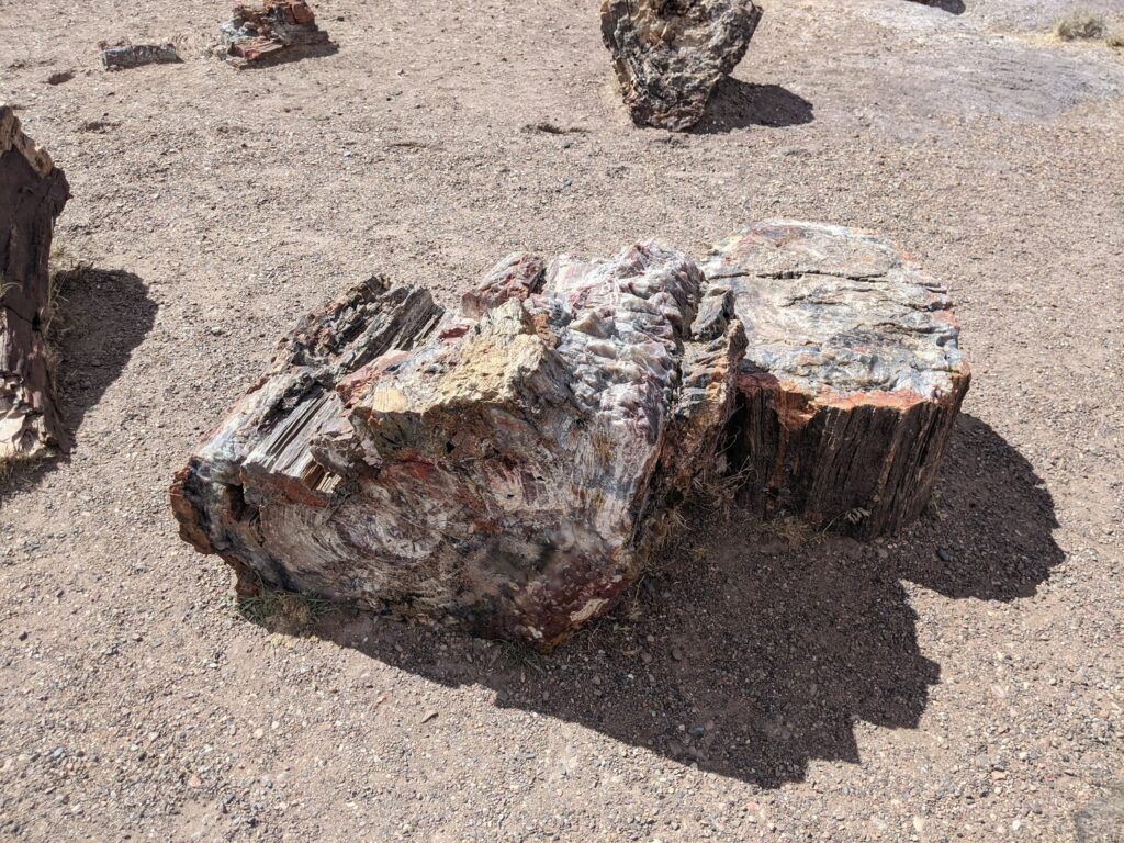 A rock-strewn landscape with vibrant petrified logs scattered across a desert terrain, under a clear blue sky, showcasing the Petrified Forest National Park.