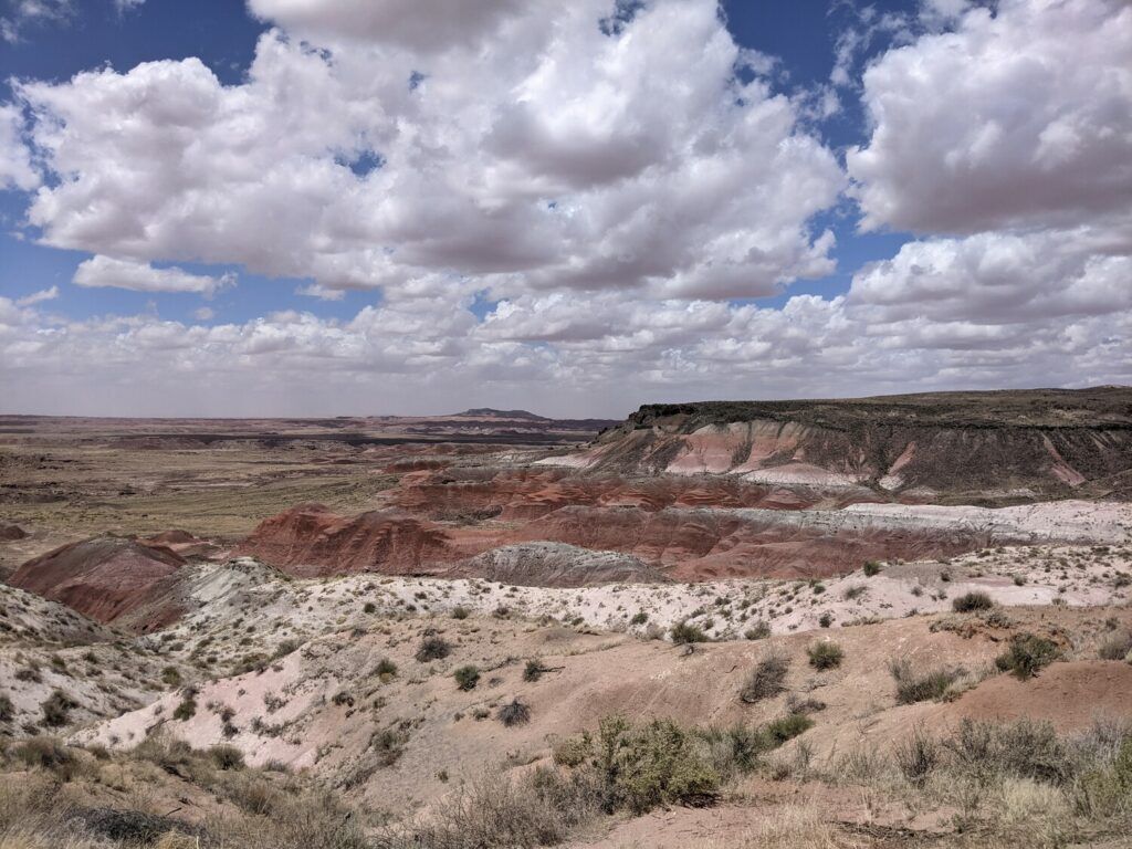 Petrified National Forest