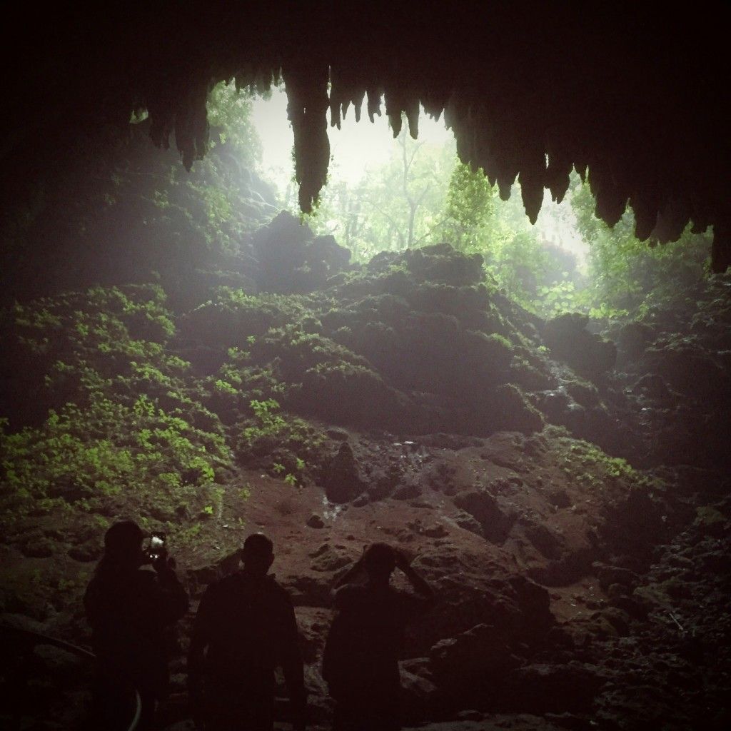 Rio Camuy cave park