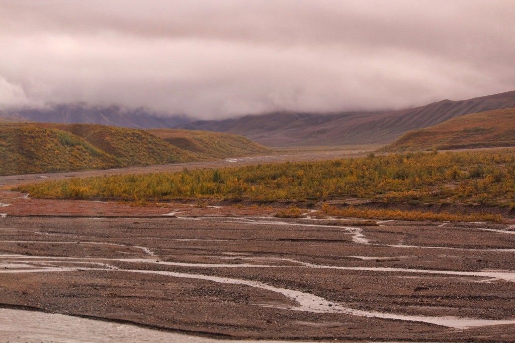 Denali National Park