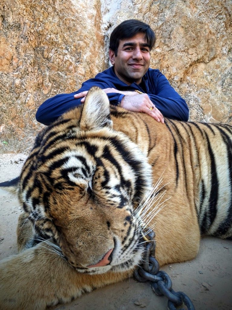 Thailand Tiger Temple